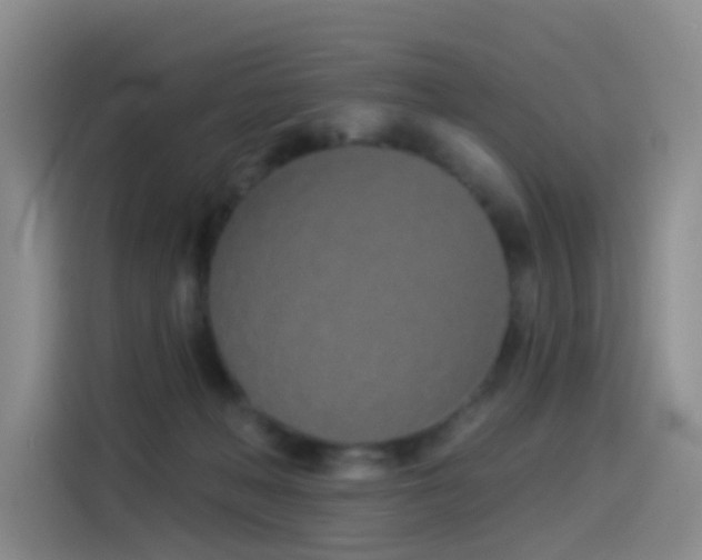 X0000114490222200910191237