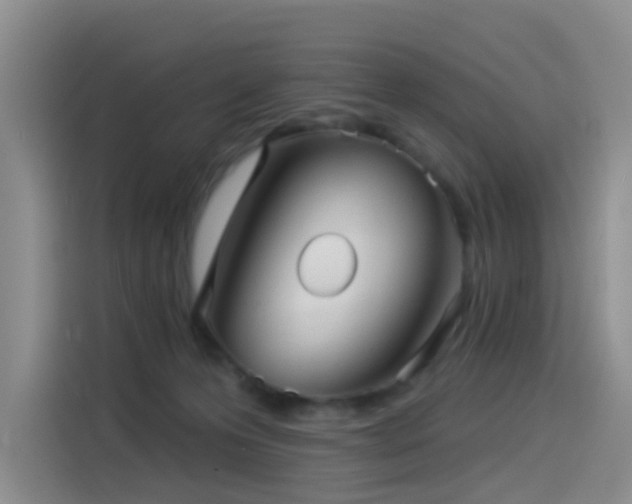X0000114490223200910191237