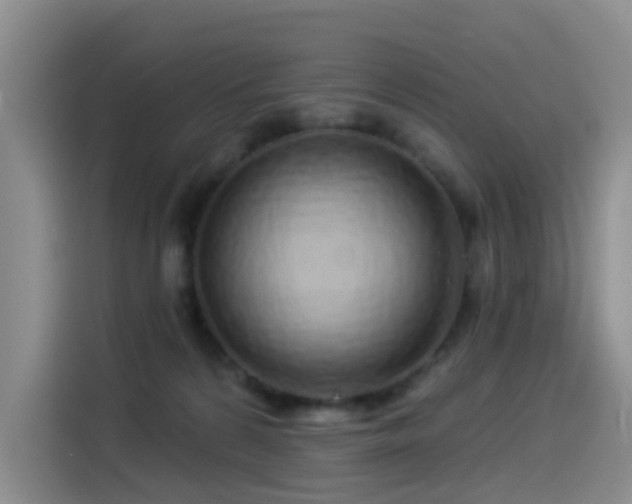 X0000114490224200910191237