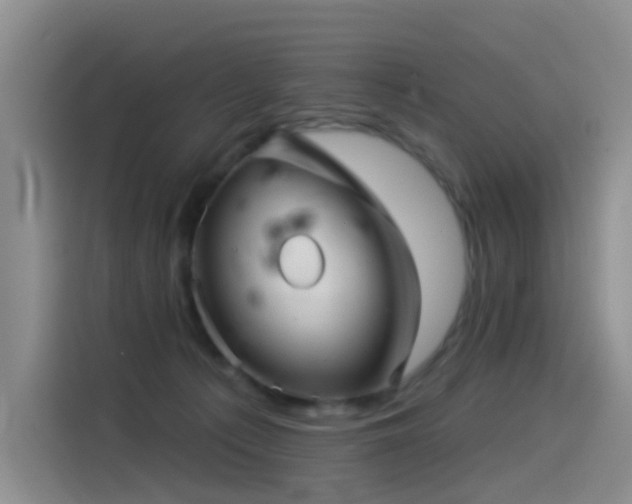 X0000114490225200910191237