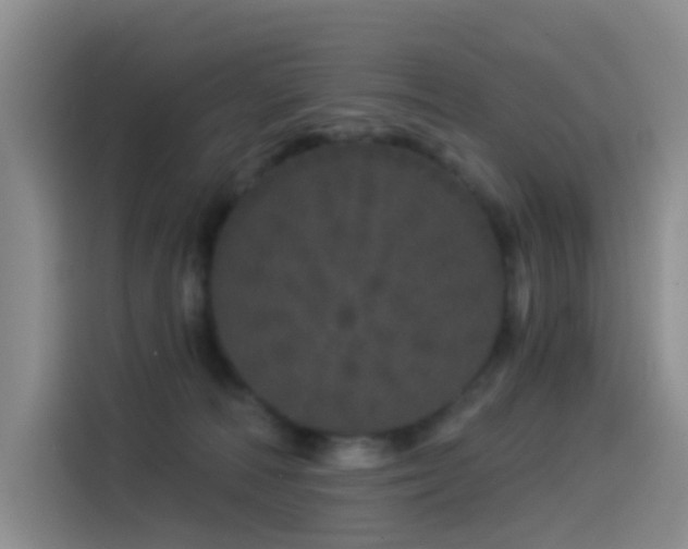 X0000114490226200910191237