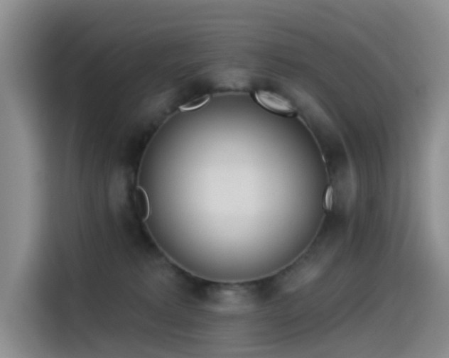 X0000114490229200910191237