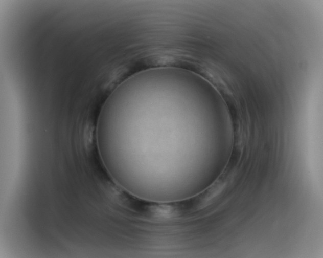 X0000114490230200910191237
