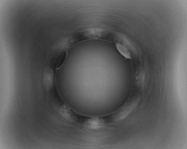 X0000114490231200910191237