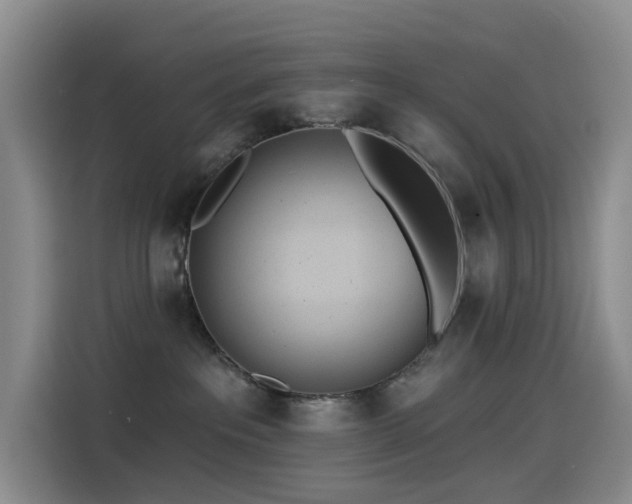 X0000114490237200910191237