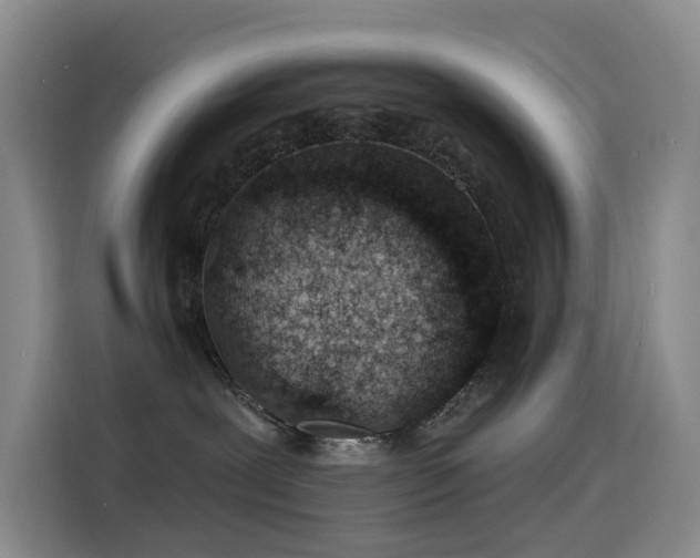 X0000114490239200910191237