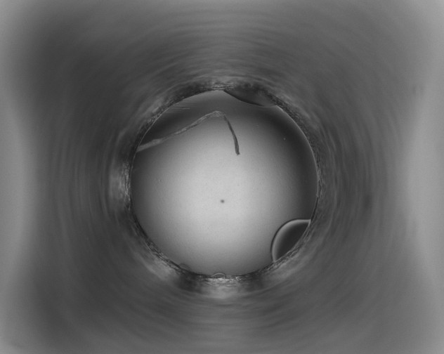 X0000114490240200910191237