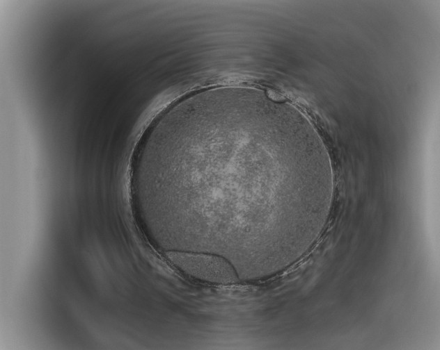 X0000114490242200910191236