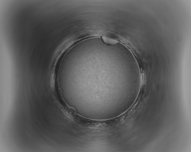 X0000114490243200910191236