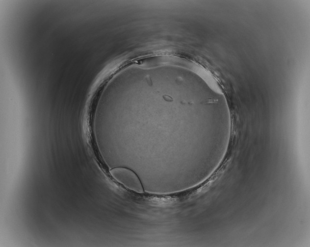 X0000114490245200910191236