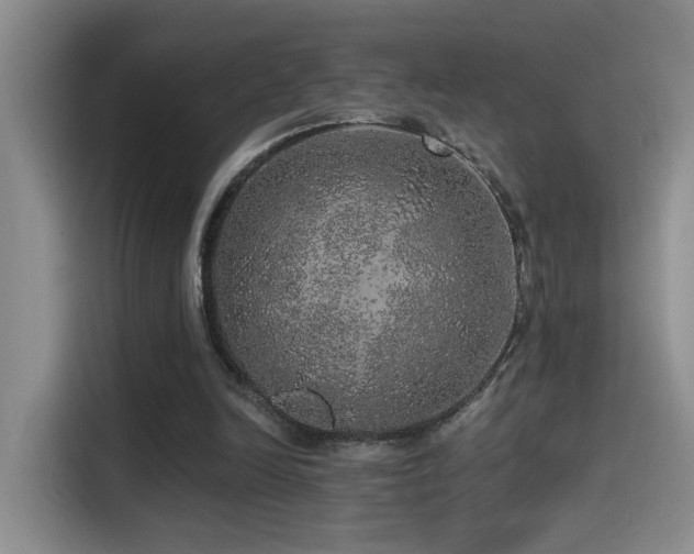 X0000114490246200910191236