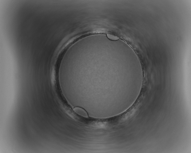X0000114490247200910191236