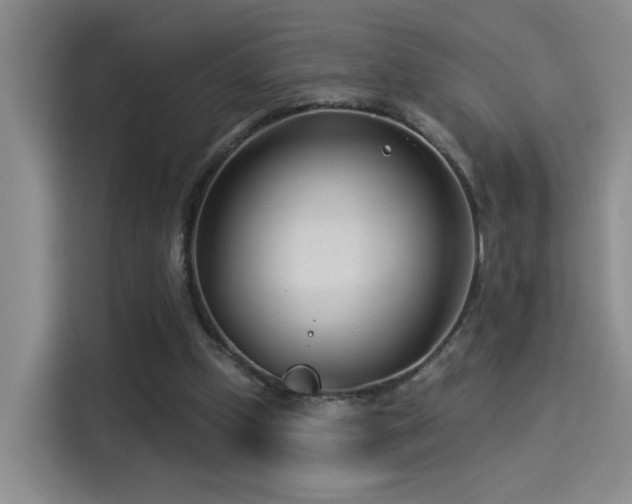 X0000114490249200910191236