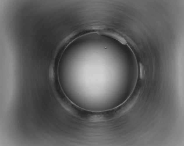 X0000114490252200910191236