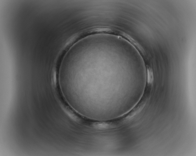X0000114490253200910191236