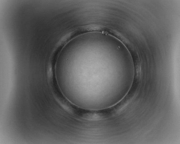 X0000114490254200910191236