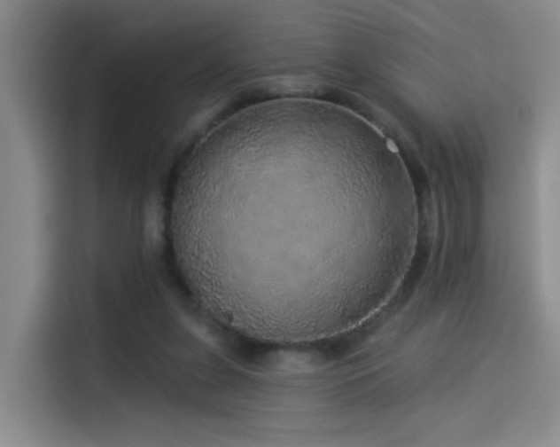 X0000114490255200910191236