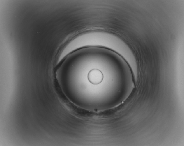 X0000114490256200910191236