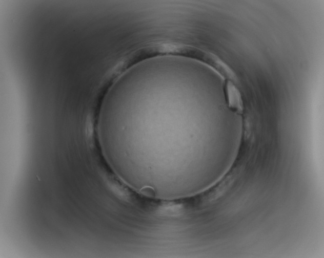 X0000114490257200910191236