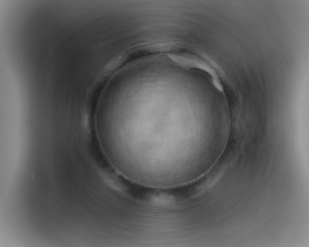 X0000114490258200910191237