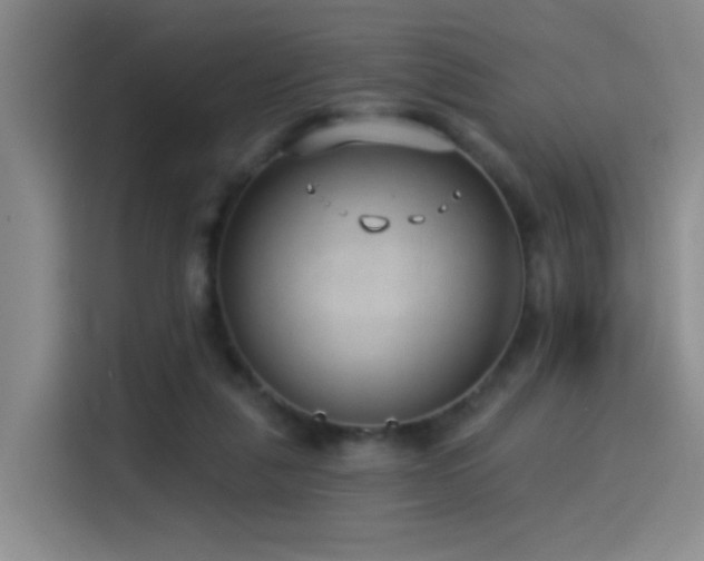 X0000114490259200910191237