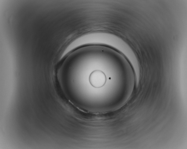 X0000114490260200910191237
