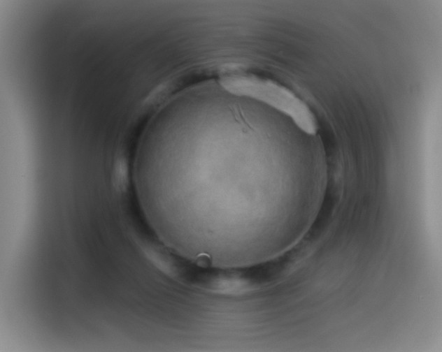 X0000114490262200910191237