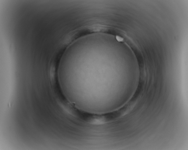 X0000114490263200910191237