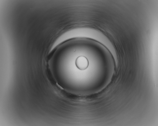 X0000114490264200910191237