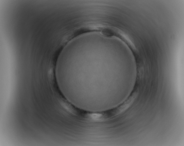 X0000114490265200910191237