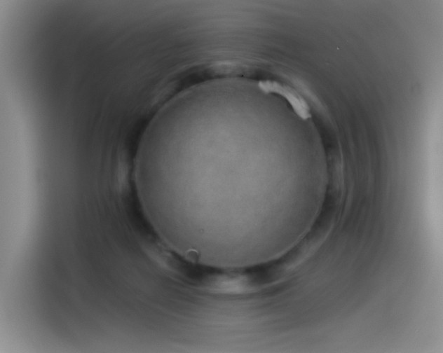 X0000114490266200910191237