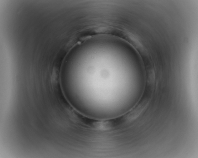 X0000114490273200910191237