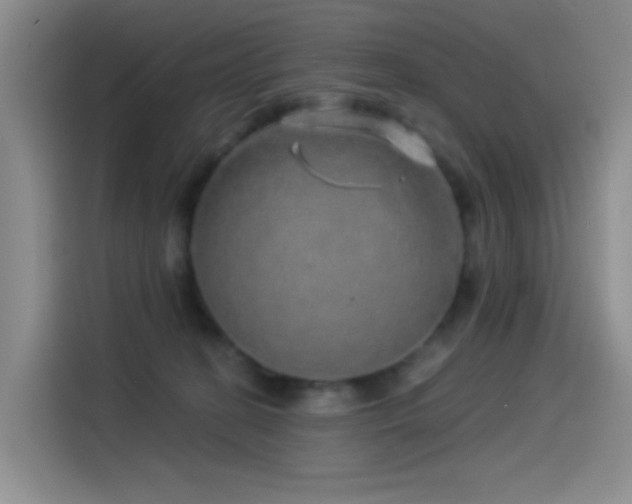 X0000114490274200910191237