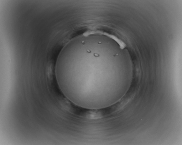 X0000114490275200910191237