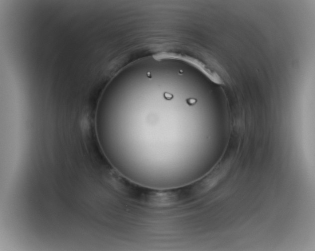 X0000114490277200910191237