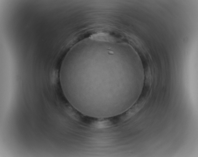 X0000114490278200910191237