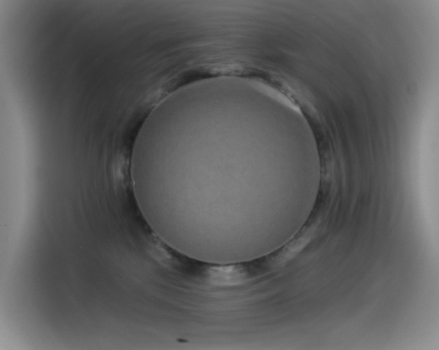 X0000114490281200910191237