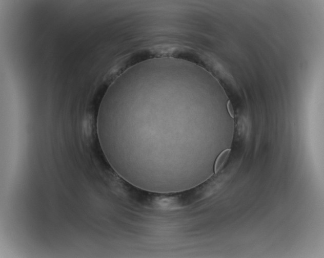 X0000114490283200910191237