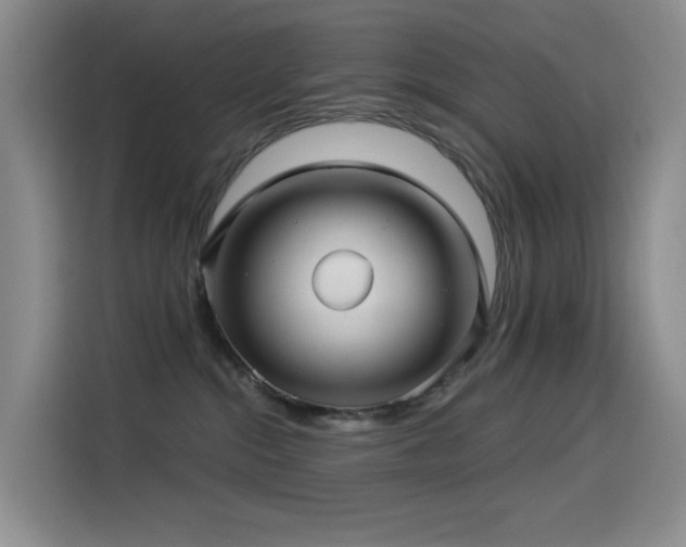 X0000114490284200910191237
