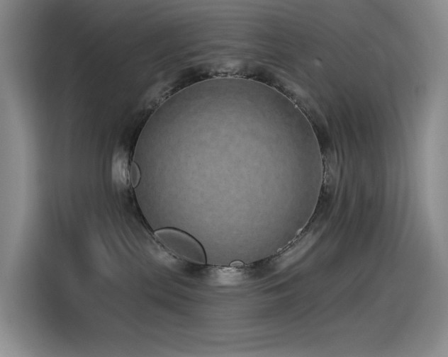 X0000114490287200910191237