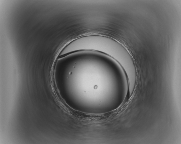 X0000114490289200910191236