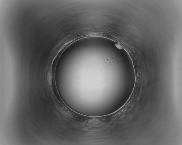X0000114490290200910191236