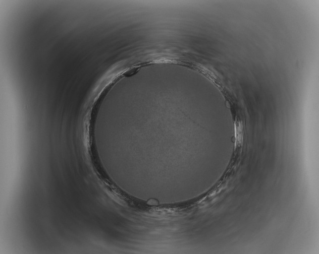X0000114490291200910191236