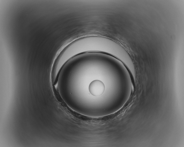 X0000114490292200910191236