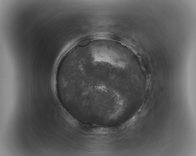 X0000114490293200910191236