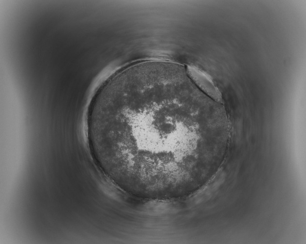 X0000114490294200910191236