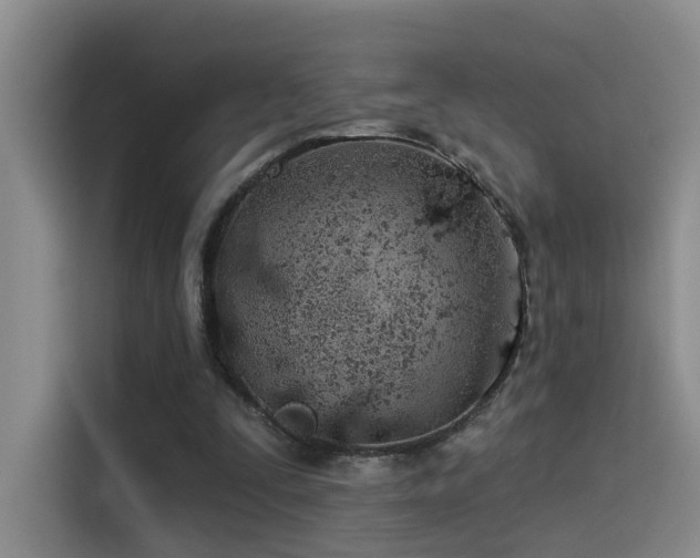 X0000114490295200910191236