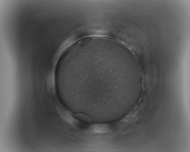 X0000114490296200910191236