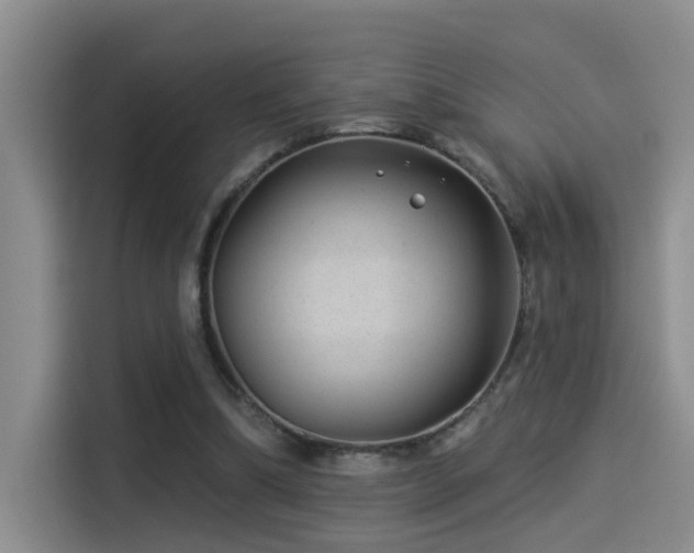 X0000114490298200910191236
