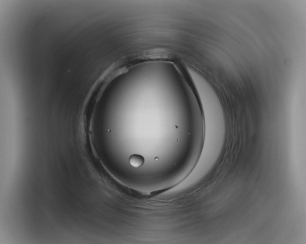 X0000114490300200910191236
